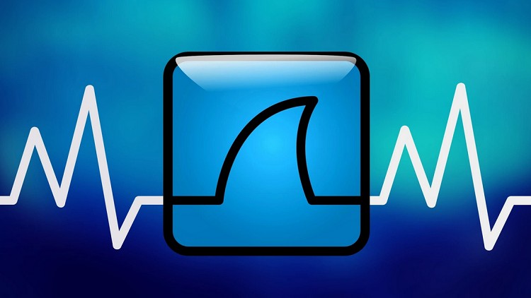 Read more about the article [100% Off] The Wireshark Guide