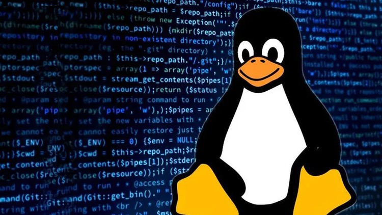 Read more about the article [100% Off] Linux Command Line Terminal Basic for Beginners (In Hindi)