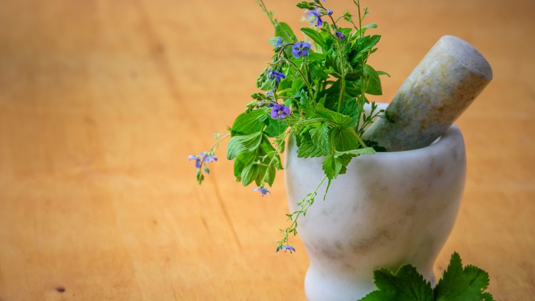 Read more about the article [100% Off] Herbalism for Healthcare Professionals