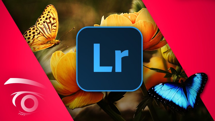 Read more about the article [100% Off] Adobe Lightroom Classic CC: Master the Develop Module