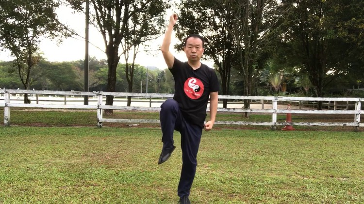 Read more about the article [100% Off] 8 Basic Tai Chi Movements for Better Balance, Reduces Falls