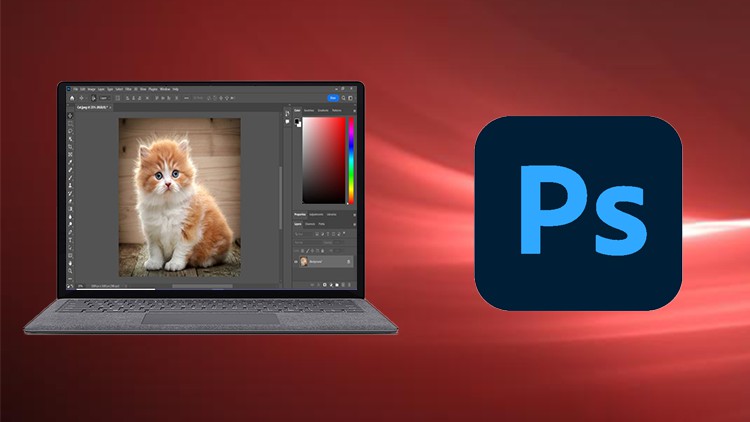 Read more about the article [100% Off] Adobe Photoshop CC For Absolute Beginner to Advanced