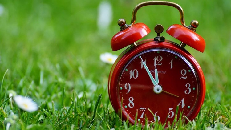 Read more about the article [100% Off] Master Course in Time Management