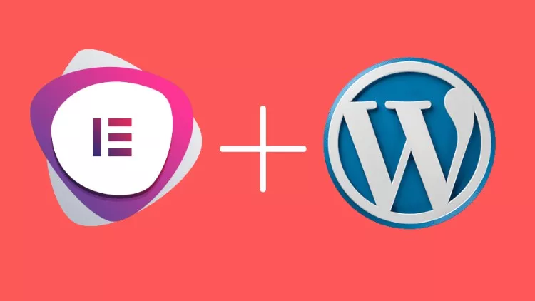Read more about the article [100% Off] Build Responsive Real World Portfolio WordPress Website
