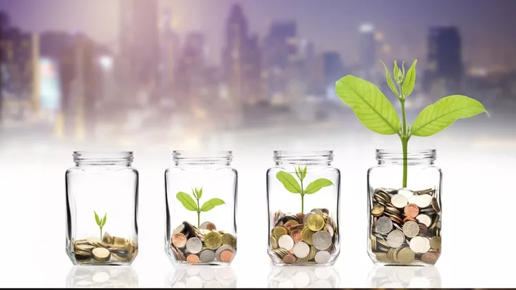 Read more about the article [100% Off] Startup Business: How To Raise Seed Capital