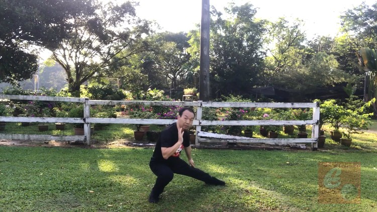 Read more about the article [100% Off] Authentic Fighting Tai Chi-Chen New Frame Routine (XinJia) 1