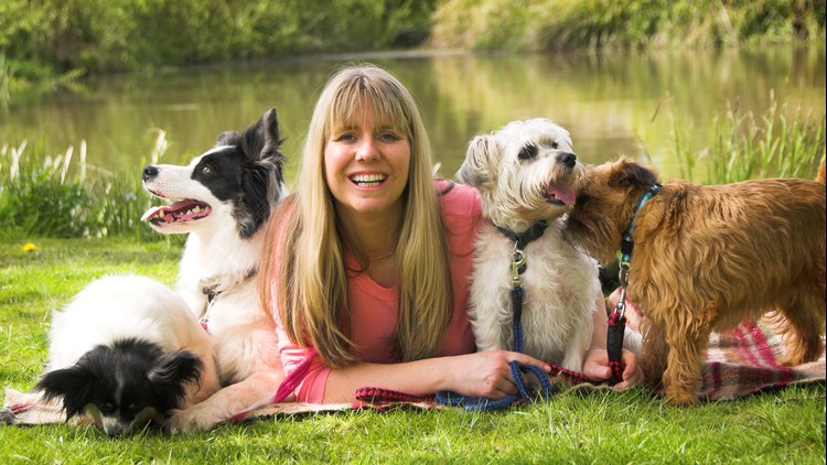 Read more about the article [100% Off] Dog Training – Stop Dog Barking – Easy Dog Training Methods