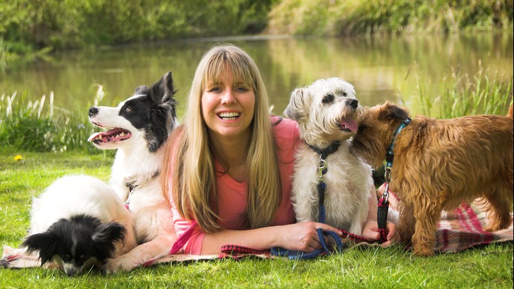 Read more about the article [100% Off] Dog Training – Running A Dog Training Business