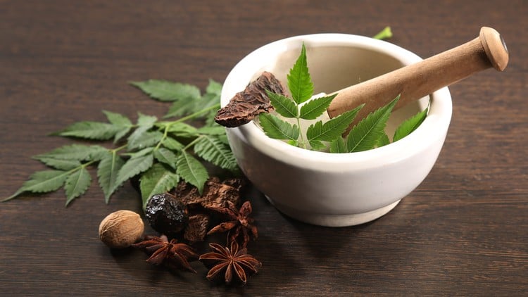 Read more about the article [100% Off] Certificate Course in the Fundamentals of Ayurveda