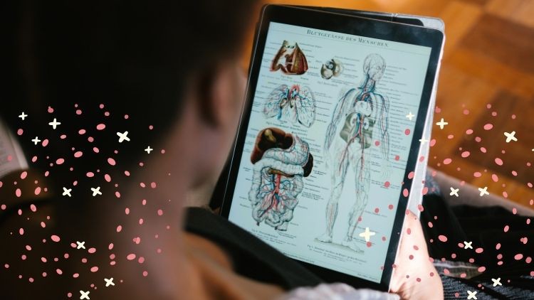 Read more about the article [100% Off] NCLEX Anatomy & Physiology Exam Practice