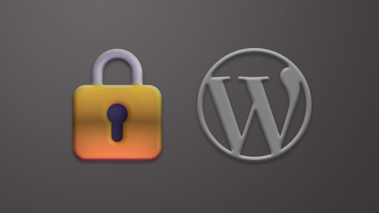 Read more about the article [100% Off] Secure Your WordPress Website For Beginners