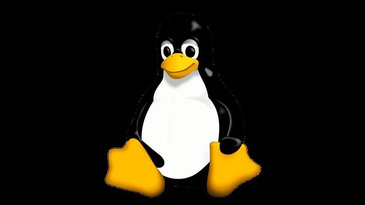 Read more about the article [100% Off] Linux Essentials to Expert: A Complete Masterclass