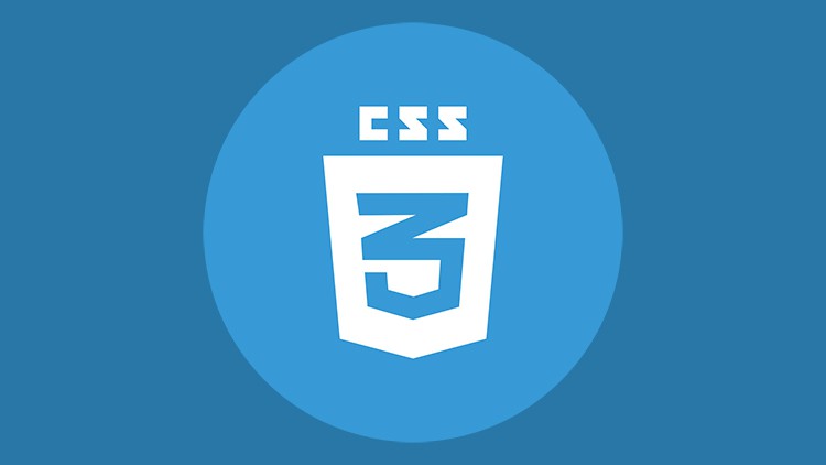 Read more about the article [100% Off] CSS Fundamentals: Comprehensive Training for Web Developers